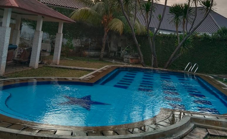 Perawatan Kolam Renang Alami Terbaik